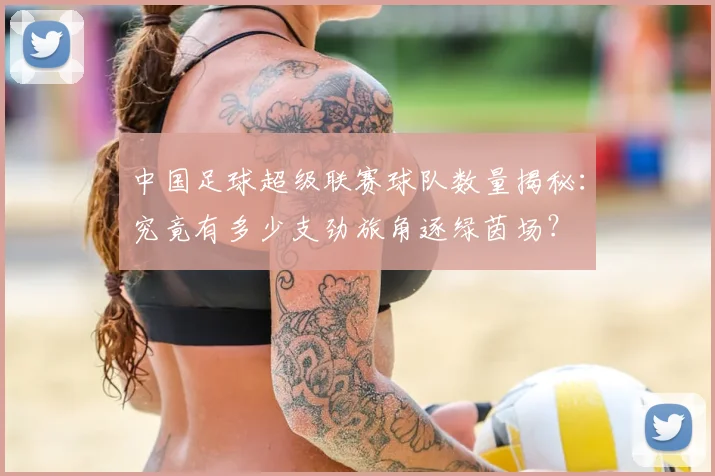 中国足球超级联赛球队数量揭秘：究竟有多少支劲旅角逐绿茵场？