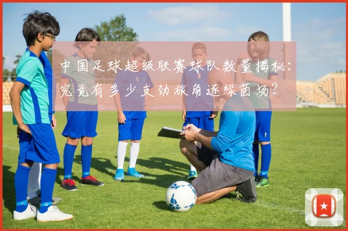 中国足球超级联赛球队数量揭秘：究竟有多少支劲旅角逐绿茵场？
