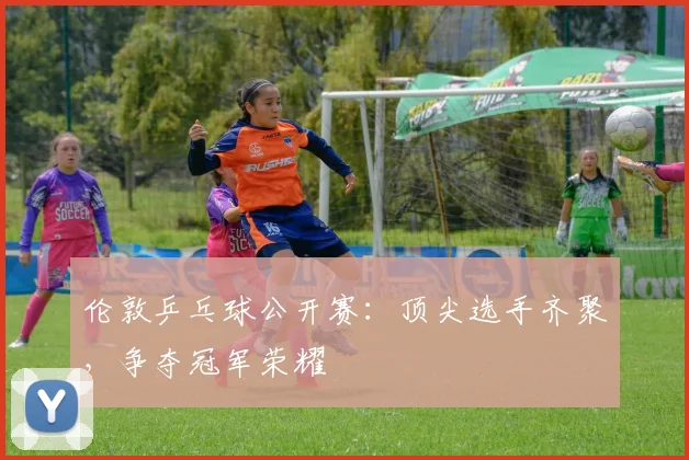 伦敦乒乓球公开赛：顶尖选手齐聚，争夺冠军荣耀
